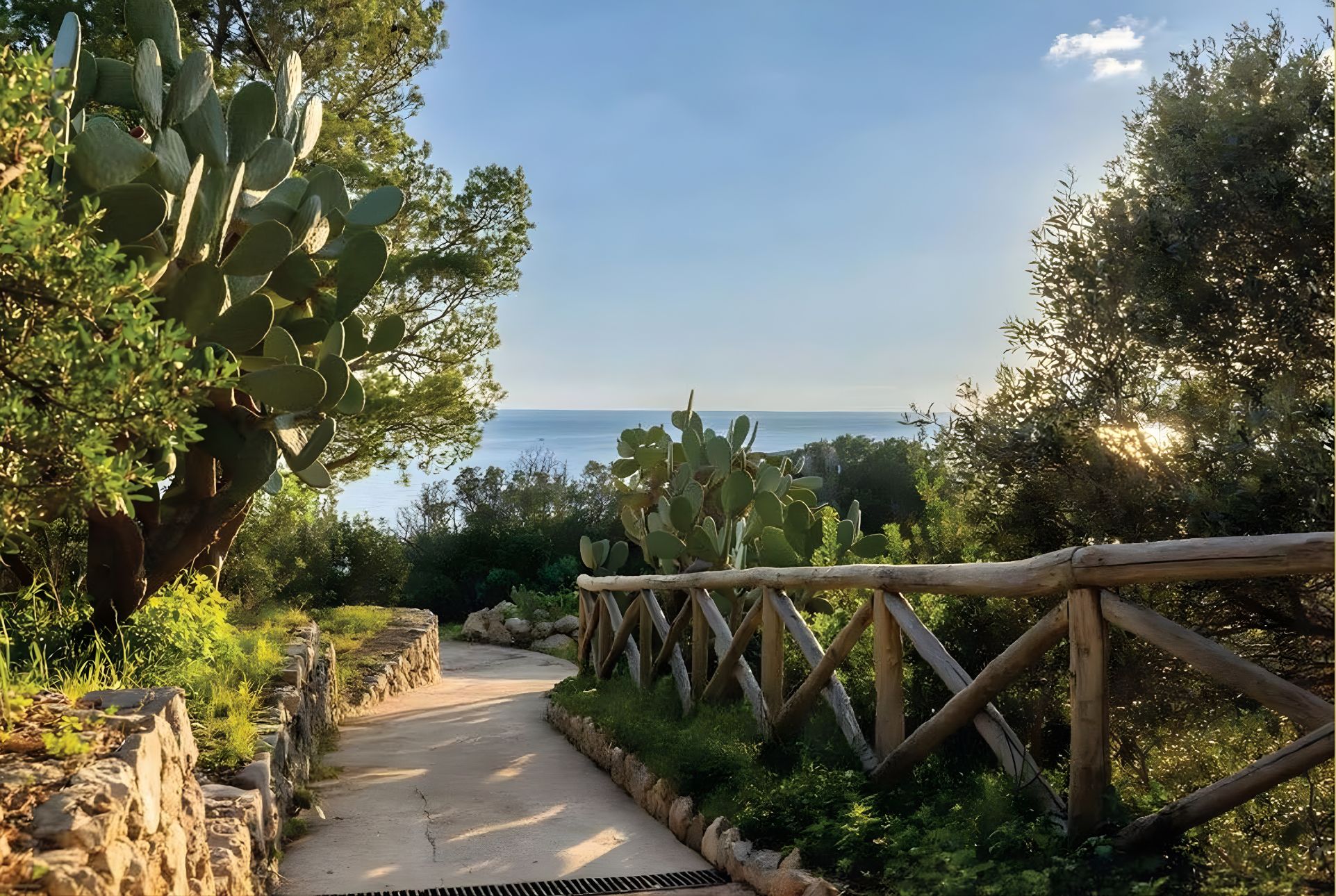 Island Mediterranean flora